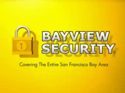 Bayview Security Logo Animation project image