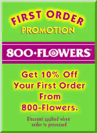 AOL 2Market CD-ROM Promotion for 800-Flowers