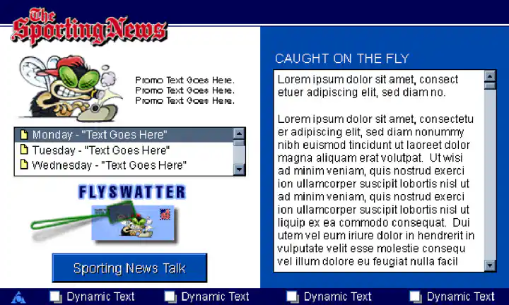 AOL The Sporting News Channel: Caught-on-the-fly Flyswatter Screen