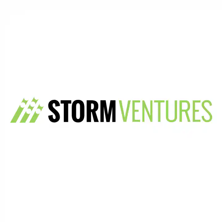 Storm Ventures Logo Design