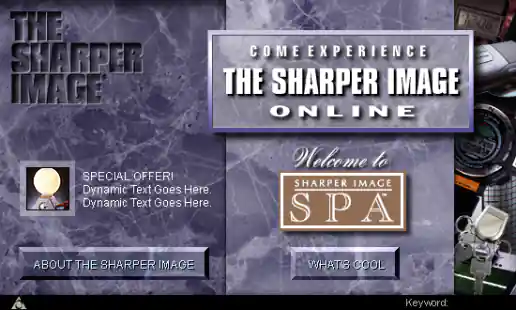 AOL Channel Art for The Sharper Image project image