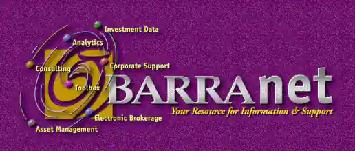BARRA Net Homepage Animation project image